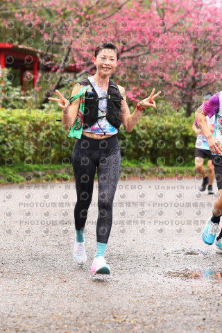 2026左岸竹東櫻花馬拉松Zhudong Sakura Marathon