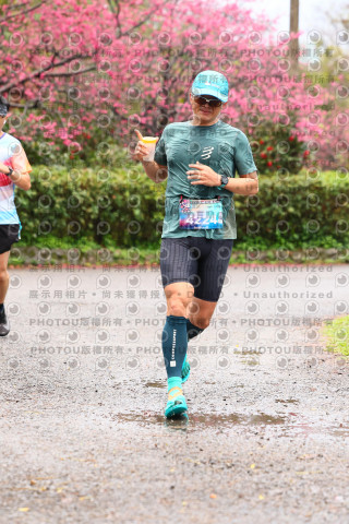 2026左岸竹東櫻花馬拉松Zhudong Sakura Marathon