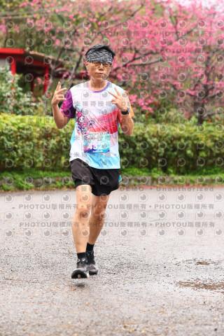 2026左岸竹東櫻花馬拉松Zhudong Sakura Marathon