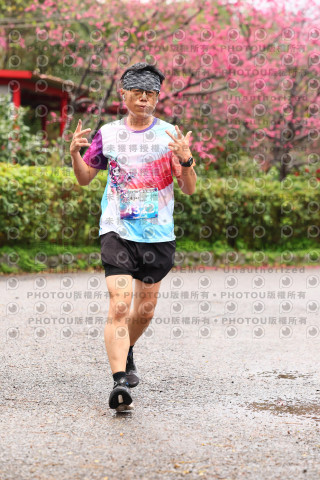 2026左岸竹東櫻花馬拉松Zhudong Sakura Marathon