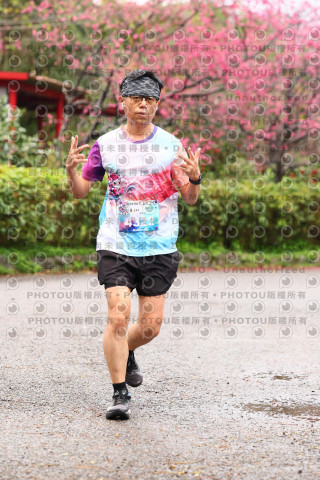 2026左岸竹東櫻花馬拉松Zhudong Sakura Marathon
