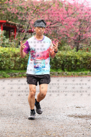 2026左岸竹東櫻花馬拉松Zhudong Sakura Marathon