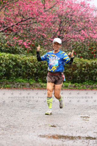 2026左岸竹東櫻花馬拉松Zhudong Sakura Marathon