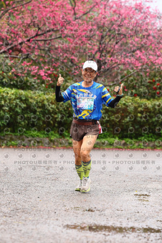 2026左岸竹東櫻花馬拉松Zhudong Sakura Marathon