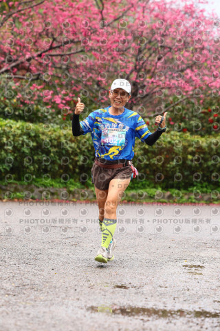 2026左岸竹東櫻花馬拉松Zhudong Sakura Marathon