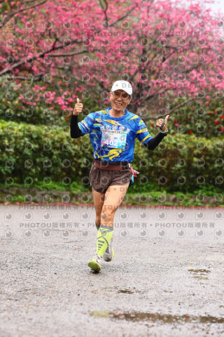 2026左岸竹東櫻花馬拉松Zhudong Sakura Marathon