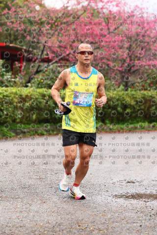 2026左岸竹東櫻花馬拉松Zhudong Sakura Marathon