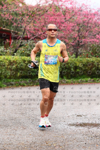 2026左岸竹東櫻花馬拉松Zhudong Sakura Marathon