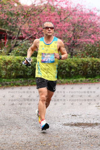 2026左岸竹東櫻花馬拉松Zhudong Sakura Marathon
