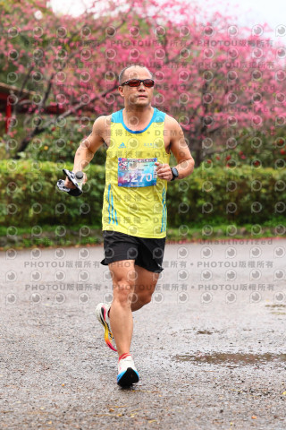 2026左岸竹東櫻花馬拉松Zhudong Sakura Marathon