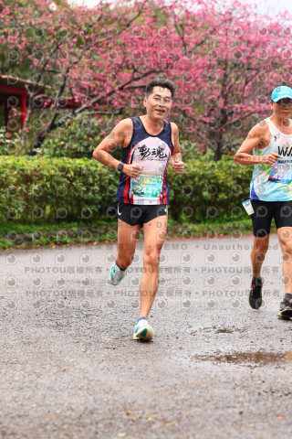 2026左岸竹東櫻花馬拉松Zhudong Sakura Marathon