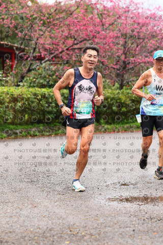 2026左岸竹東櫻花馬拉松Zhudong Sakura Marathon