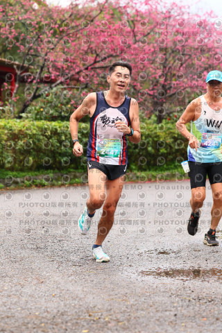 2026左岸竹東櫻花馬拉松Zhudong Sakura Marathon