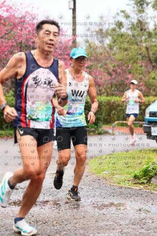2026左岸竹東櫻花馬拉松Zhudong Sakura Marathon