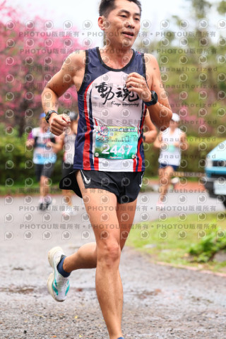 2026左岸竹東櫻花馬拉松Zhudong Sakura Marathon