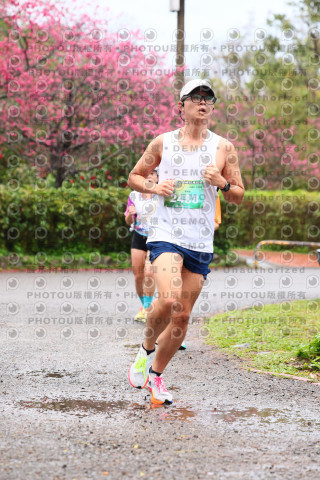 2026左岸竹東櫻花馬拉松Zhudong Sakura Marathon