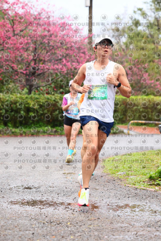 2026左岸竹東櫻花馬拉松Zhudong Sakura Marathon