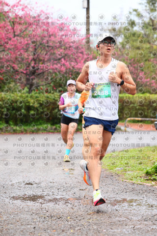 2026左岸竹東櫻花馬拉松Zhudong Sakura Marathon