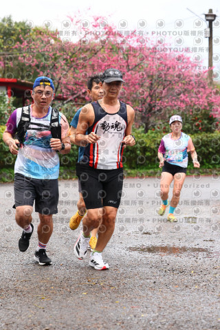 2026左岸竹東櫻花馬拉松Zhudong Sakura Marathon