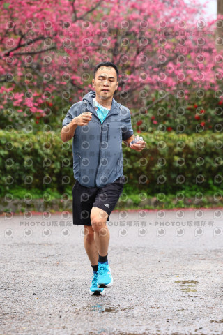 2026左岸竹東櫻花馬拉松Zhudong Sakura Marathon