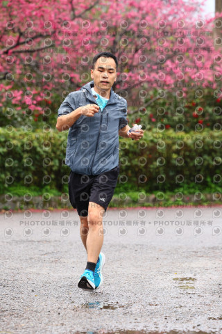 2026左岸竹東櫻花馬拉松Zhudong Sakura Marathon