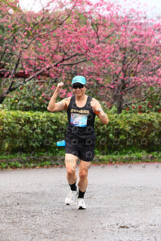 2026左岸竹東櫻花馬拉松Zhudong Sakura Marathon