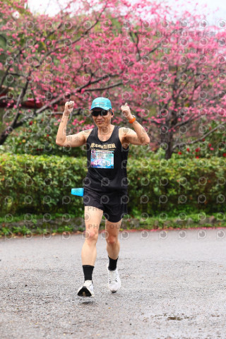 2026左岸竹東櫻花馬拉松Zhudong Sakura Marathon