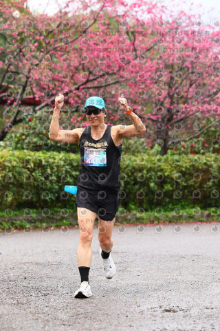 2026左岸竹東櫻花馬拉松Zhudong Sakura Marathon