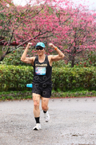2026左岸竹東櫻花馬拉松Zhudong Sakura Marathon