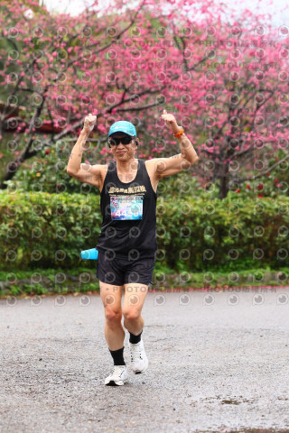 2026左岸竹東櫻花馬拉松Zhudong Sakura Marathon