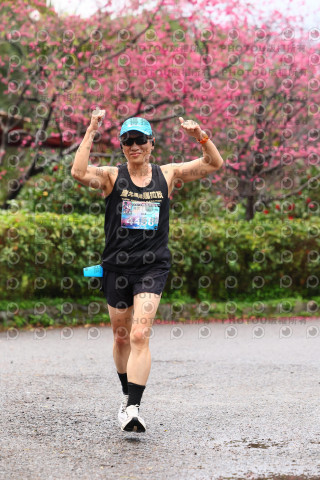 2026左岸竹東櫻花馬拉松Zhudong Sakura Marathon