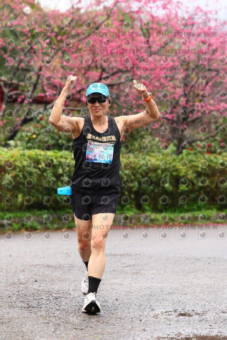 2026左岸竹東櫻花馬拉松Zhudong Sakura Marathon