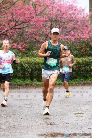 2026左岸竹東櫻花馬拉松Zhudong Sakura Marathon