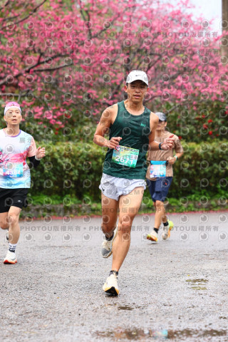 2026左岸竹東櫻花馬拉松Zhudong Sakura Marathon