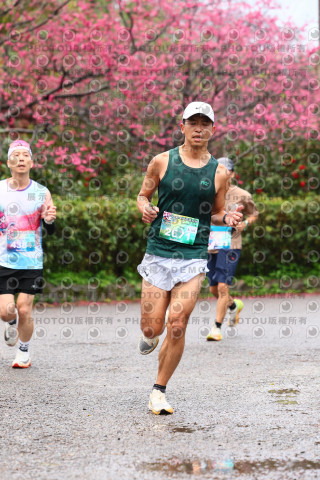 2026左岸竹東櫻花馬拉松Zhudong Sakura Marathon