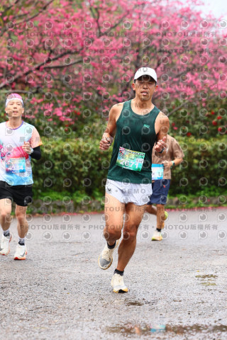 2026左岸竹東櫻花馬拉松Zhudong Sakura Marathon