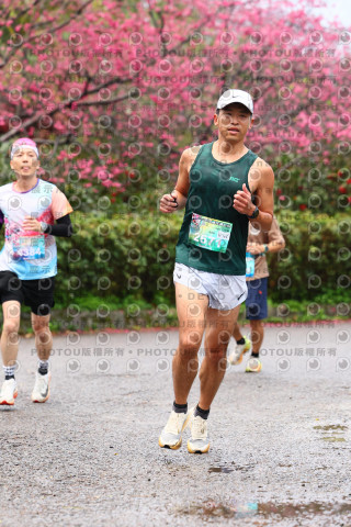 2026左岸竹東櫻花馬拉松Zhudong Sakura Marathon