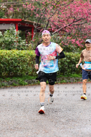2026左岸竹東櫻花馬拉松Zhudong Sakura Marathon
