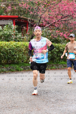 2026左岸竹東櫻花馬拉松Zhudong Sakura Marathon