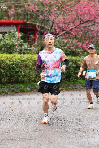 2026左岸竹東櫻花馬拉松Zhudong Sakura Marathon