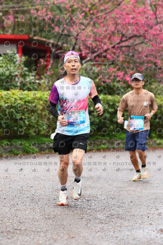2026左岸竹東櫻花馬拉松Zhudong Sakura Marathon