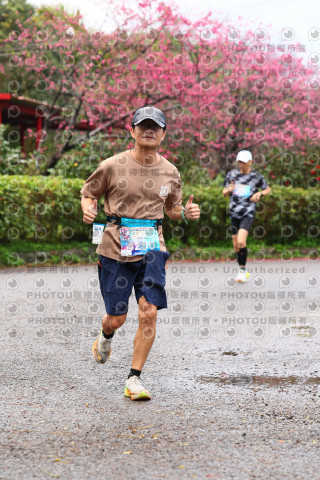 2026左岸竹東櫻花馬拉松Zhudong Sakura Marathon