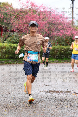 2026左岸竹東櫻花馬拉松Zhudong Sakura Marathon