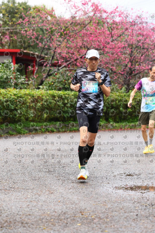 2026左岸竹東櫻花馬拉松Zhudong Sakura Marathon
