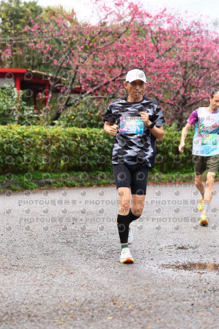 2026左岸竹東櫻花馬拉松Zhudong Sakura Marathon