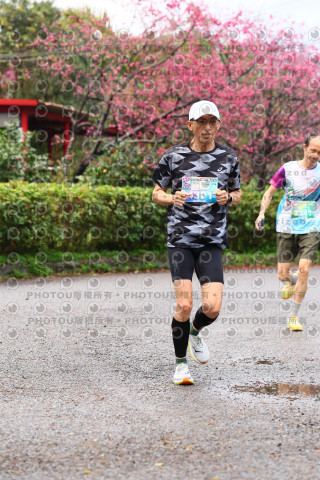 2026左岸竹東櫻花馬拉松Zhudong Sakura Marathon