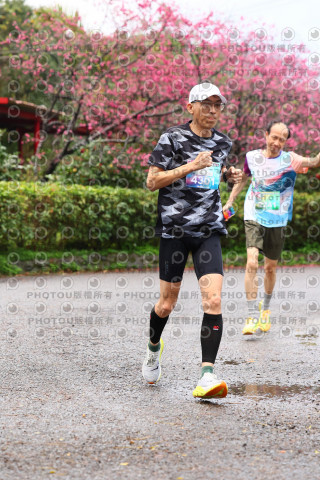 2026左岸竹東櫻花馬拉松Zhudong Sakura Marathon