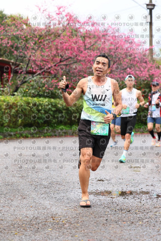 2026左岸竹東櫻花馬拉松Zhudong Sakura Marathon