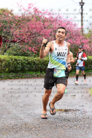 2026左岸竹東櫻花馬拉松Zhudong Sakura Marathon