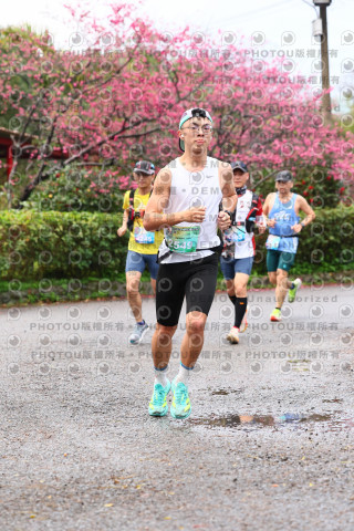 2026左岸竹東櫻花馬拉松Zhudong Sakura Marathon